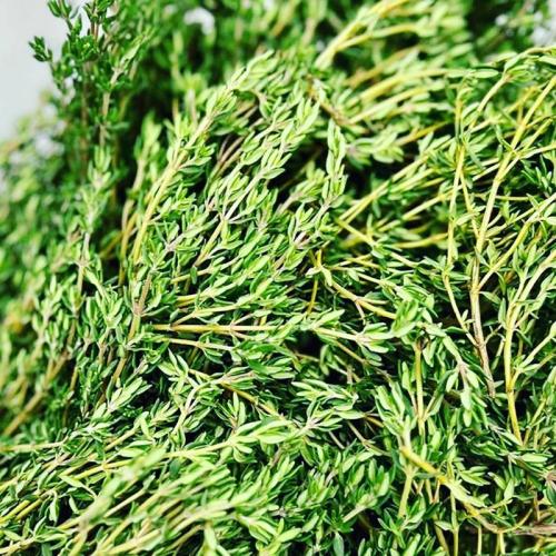 thyme